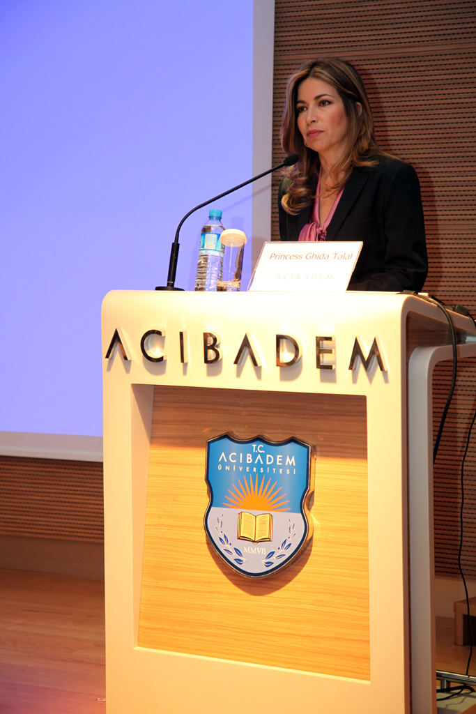 istanbul2013